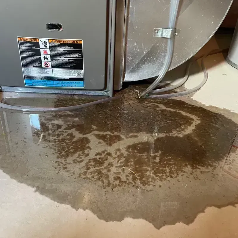 Appliance Leak Cleanup in Castle Point, MO